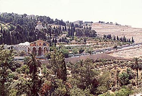 Getsemani - bazylika Konania